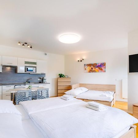 Horsky Apartman Temari 12 Klinovec Loučná pod Klínovcem Exterior foto